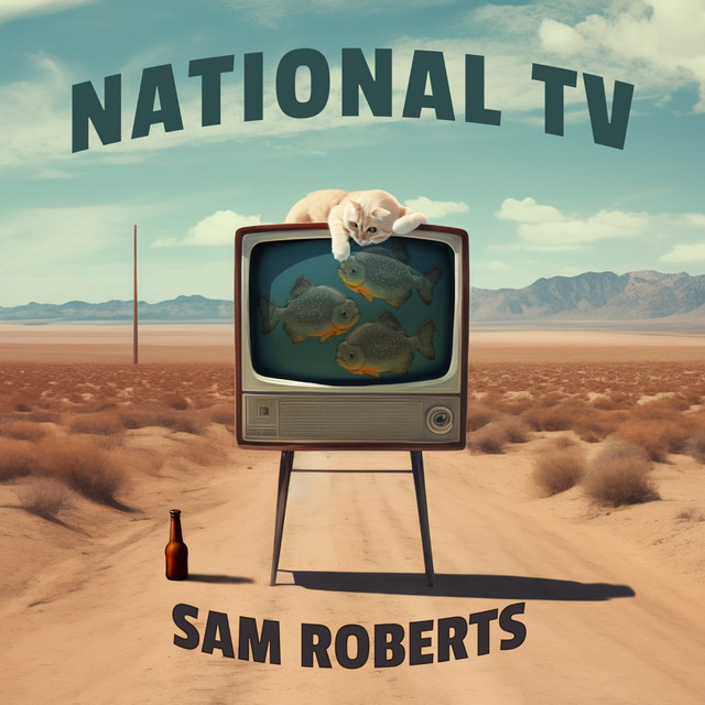 National T.V. by Sam Roberts